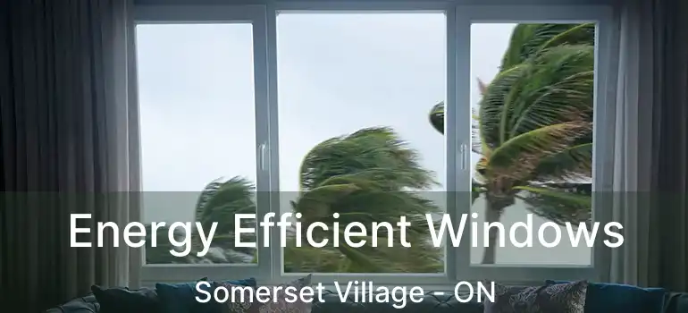 Energy Efficient Windows Somerset Village - ON