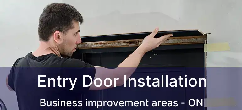 Entry Door Installation Business improvement areas - ON