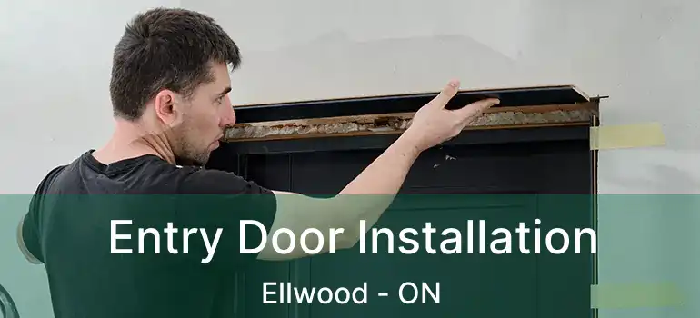 Entry Door Installation Ellwood - ON