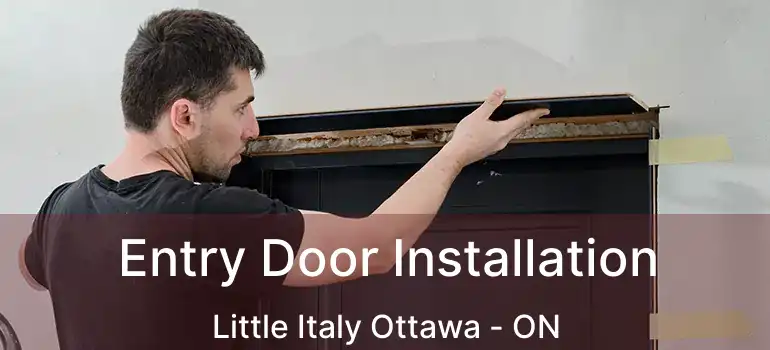Entry Door Installation Little Italy Ottawa - ON
