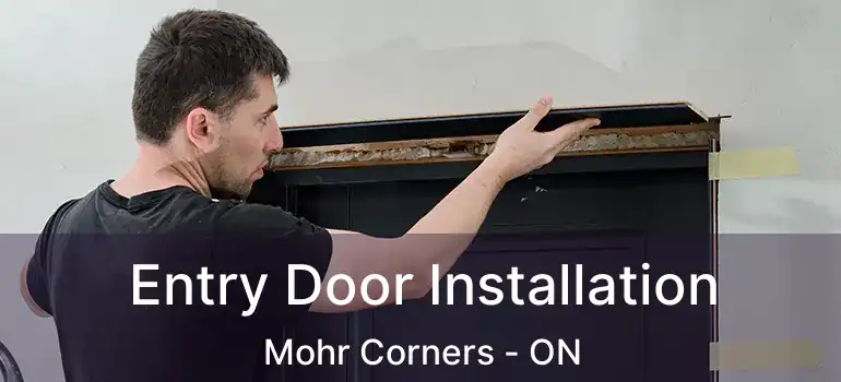 Entry Door Installation Mohr Corners - ON