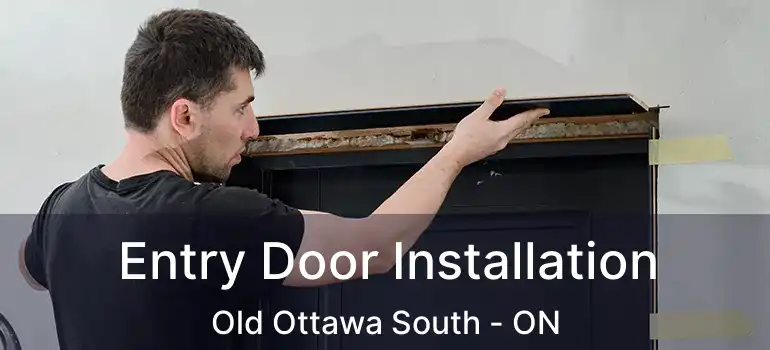  Entry Door Installation Old Ottawa South - ON