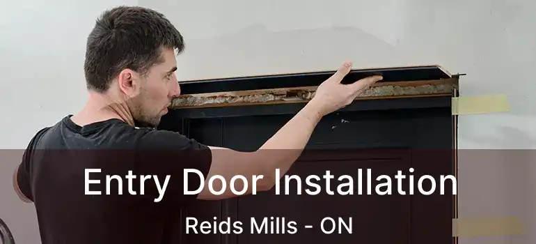 Entry Door Installation Reids Mills - ON