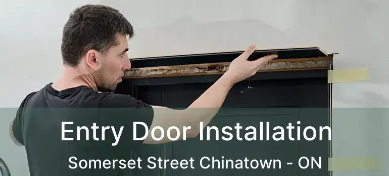  Entry Door Installation Somerset Street Chinatown - ON