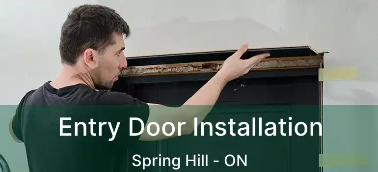  Entry Door Installation Spring Hill - ON