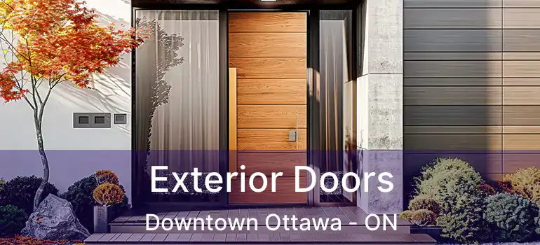Exterior Doors Downtown Ottawa - ON