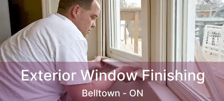  Exterior Window Finishing Belltown - ON
