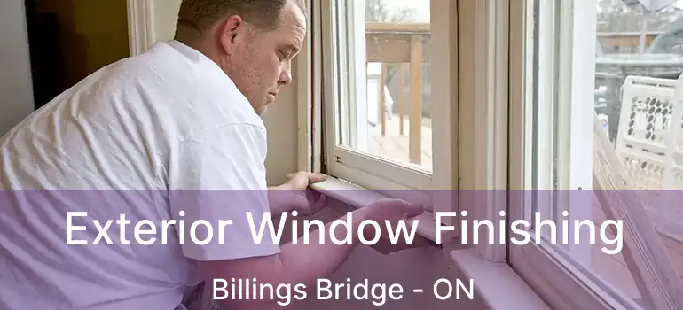  Exterior Window Finishing Billings Bridge - ON