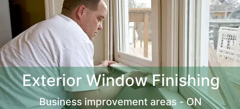 Exterior Window Finishing Business improvement areas - ON