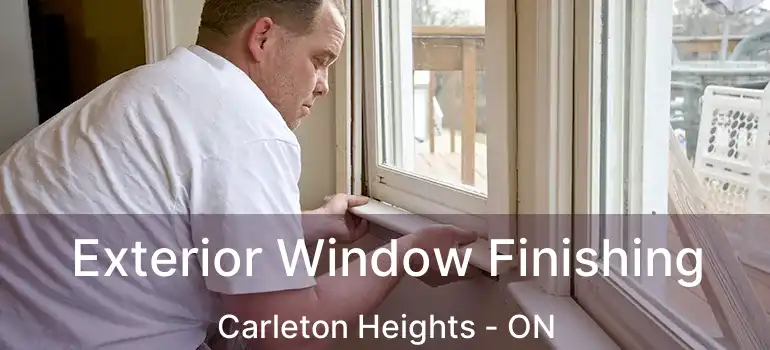  Exterior Window Finishing Carleton Heights - ON