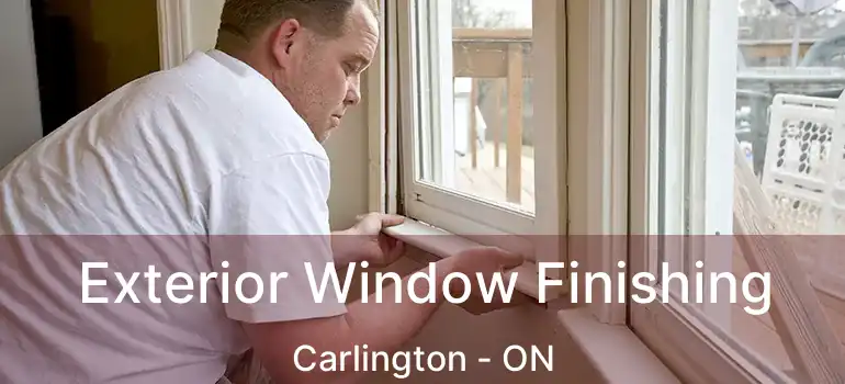 Exterior Window Finishing Carlington - ON
