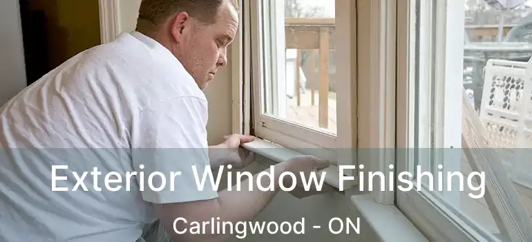  Exterior Window Finishing Carlingwood - ON
