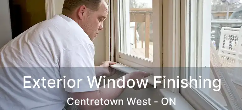 Exterior Window Finishing Centretown West - ON