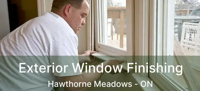 Exterior Window Finishing Hawthorne Meadows - ON