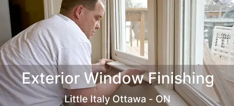  Exterior Window Finishing Little Italy Ottawa - ON