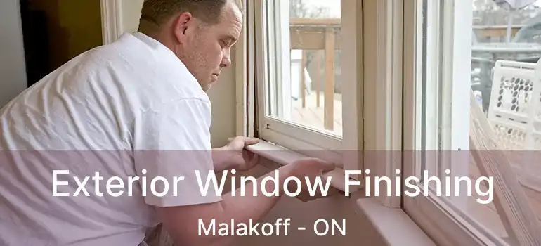  Exterior Window Finishing Malakoff - ON