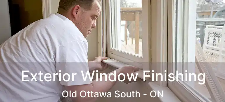  Exterior Window Finishing Old Ottawa South - ON