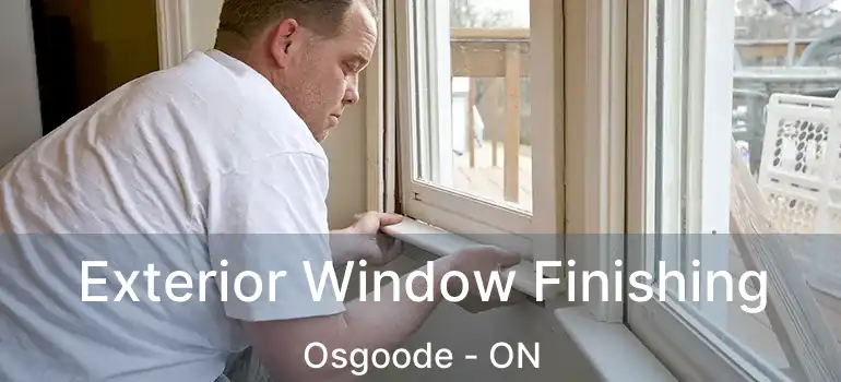  Exterior Window Finishing Osgoode - ON