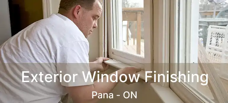  Exterior Window Finishing Pana - ON