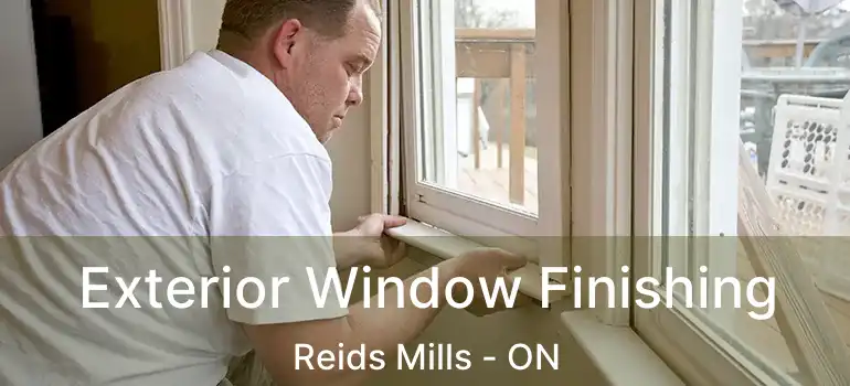 Exterior Window Finishing Reids Mills - ON