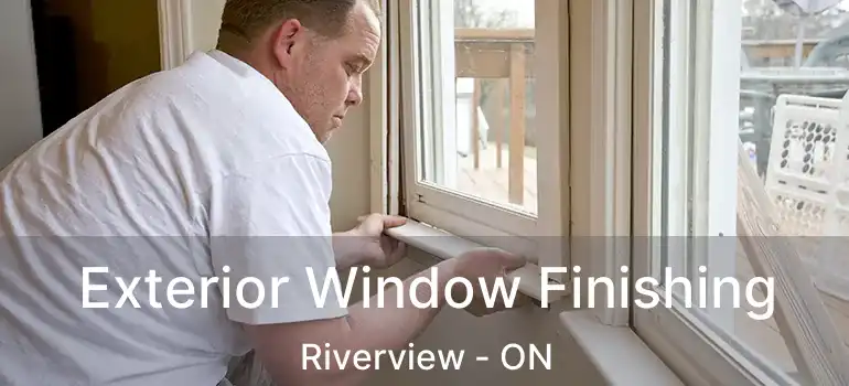  Exterior Window Finishing Riverview - ON