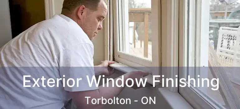 Exterior Window Finishing Torbolton - ON