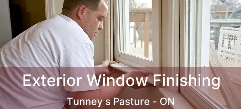  Exterior Window Finishing Tunney s Pasture - ON