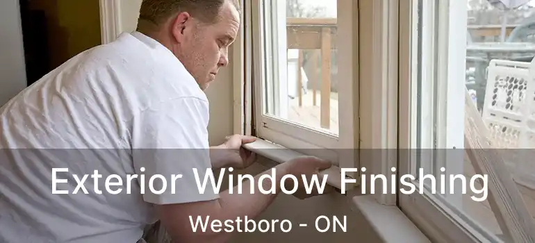 Exterior Window Finishing Westboro - ON