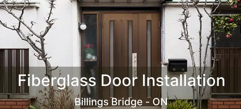 Fiberglass Door Installation Billings Bridge - ON