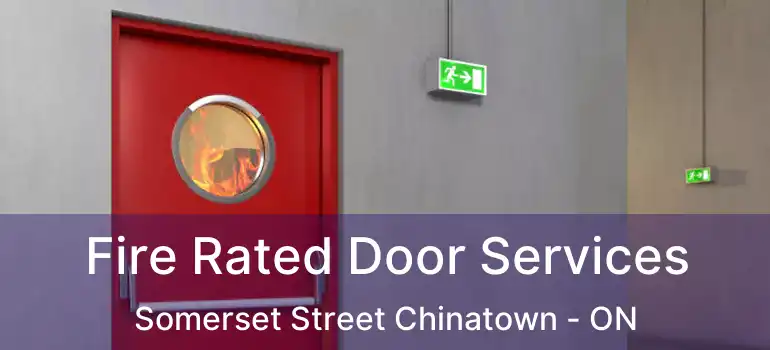  Fire Rated Door Services Somerset Street Chinatown - ON