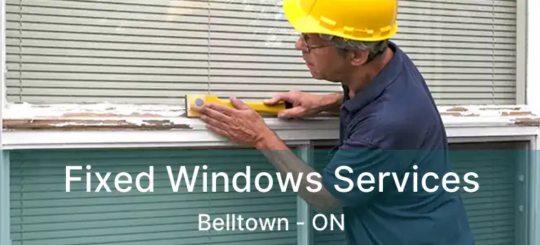 Fixed Windows Services Belltown - ON