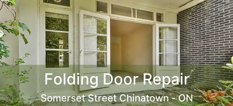 Folding Door Repair Somerset Street Chinatown - ON