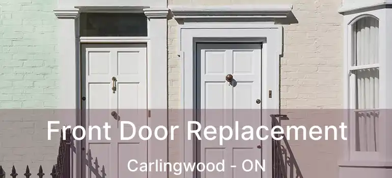 Front Door Replacement Carlingwood - ON