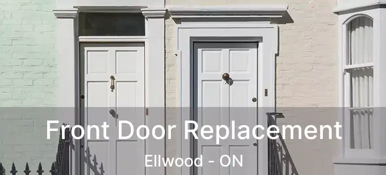  Front Door Replacement Ellwood - ON