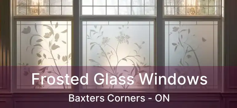 Frosted Glass Windows Baxters Corners - ON