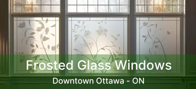 Frosted Glass Windows Downtown Ottawa - ON