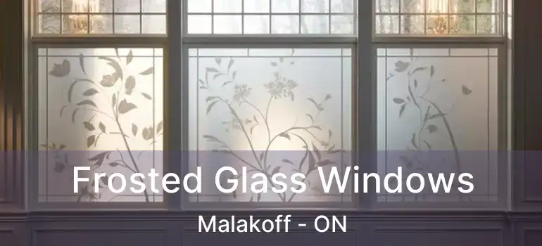 Frosted Glass Windows Malakoff - ON