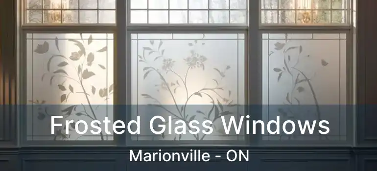 Frosted Glass Windows Marionville - ON