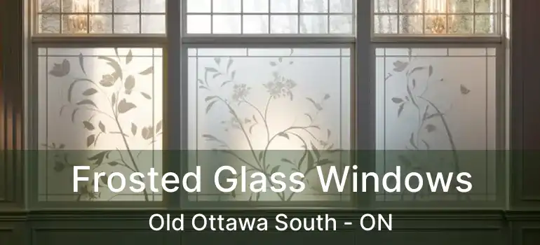  Frosted Glass Windows Old Ottawa South - ON