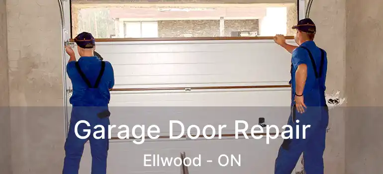  Garage Door Repair Ellwood - ON
