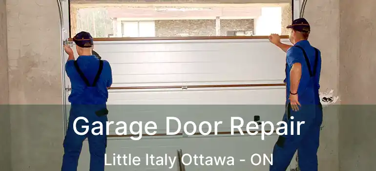  Garage Door Repair Little Italy Ottawa - ON