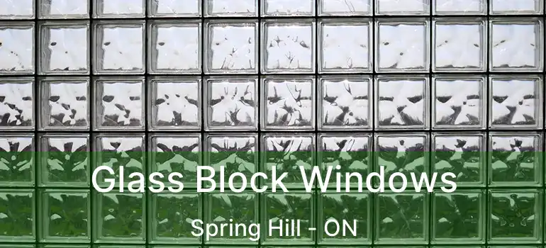 Glass Block Windows Spring Hill - ON