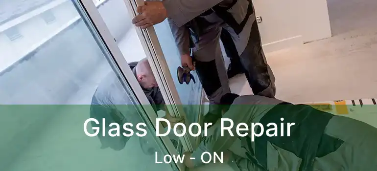 Glass Door Repair Low - ON