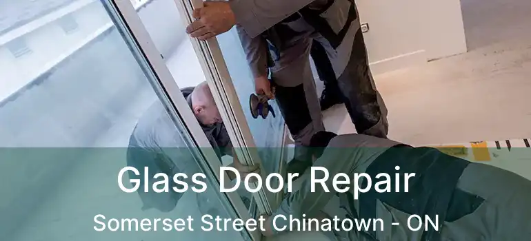 Glass Door Repair Somerset Street Chinatown - ON