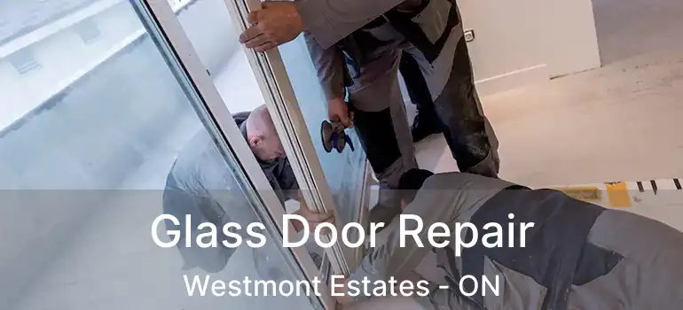 Glass Door Repair Westmont Estates - ON