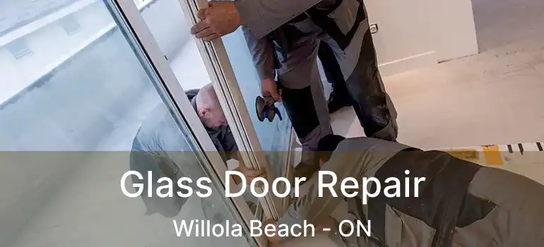 Glass Door Repair Willola Beach - ON