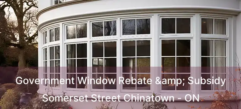 Government Window Rebate & Subsidy Somerset Street Chinatown - ON