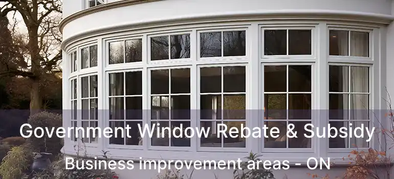  Government Window Rebate & Subsidy Business improvement areas - ON