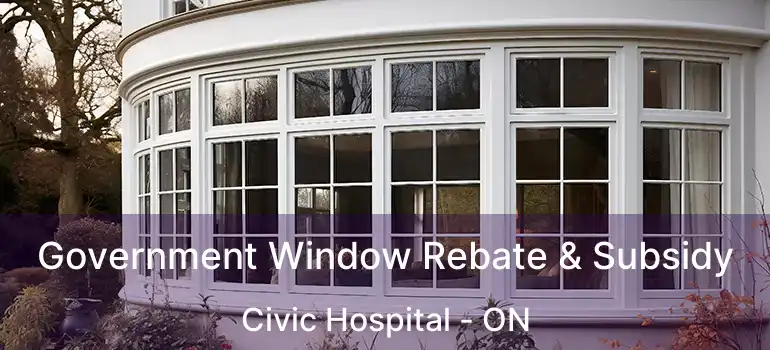  Government Window Rebate & Subsidy Civic Hospital - ON