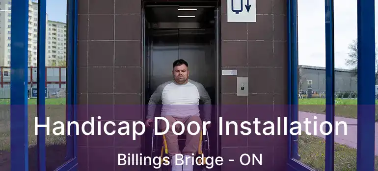  Handicap Door Installation Billings Bridge - ON